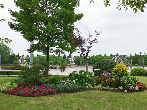 綠化圖片 綠化圖片