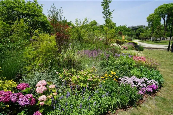 綠化圖片 綠化圖片