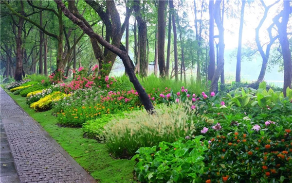 綠化圖片 綠化圖片